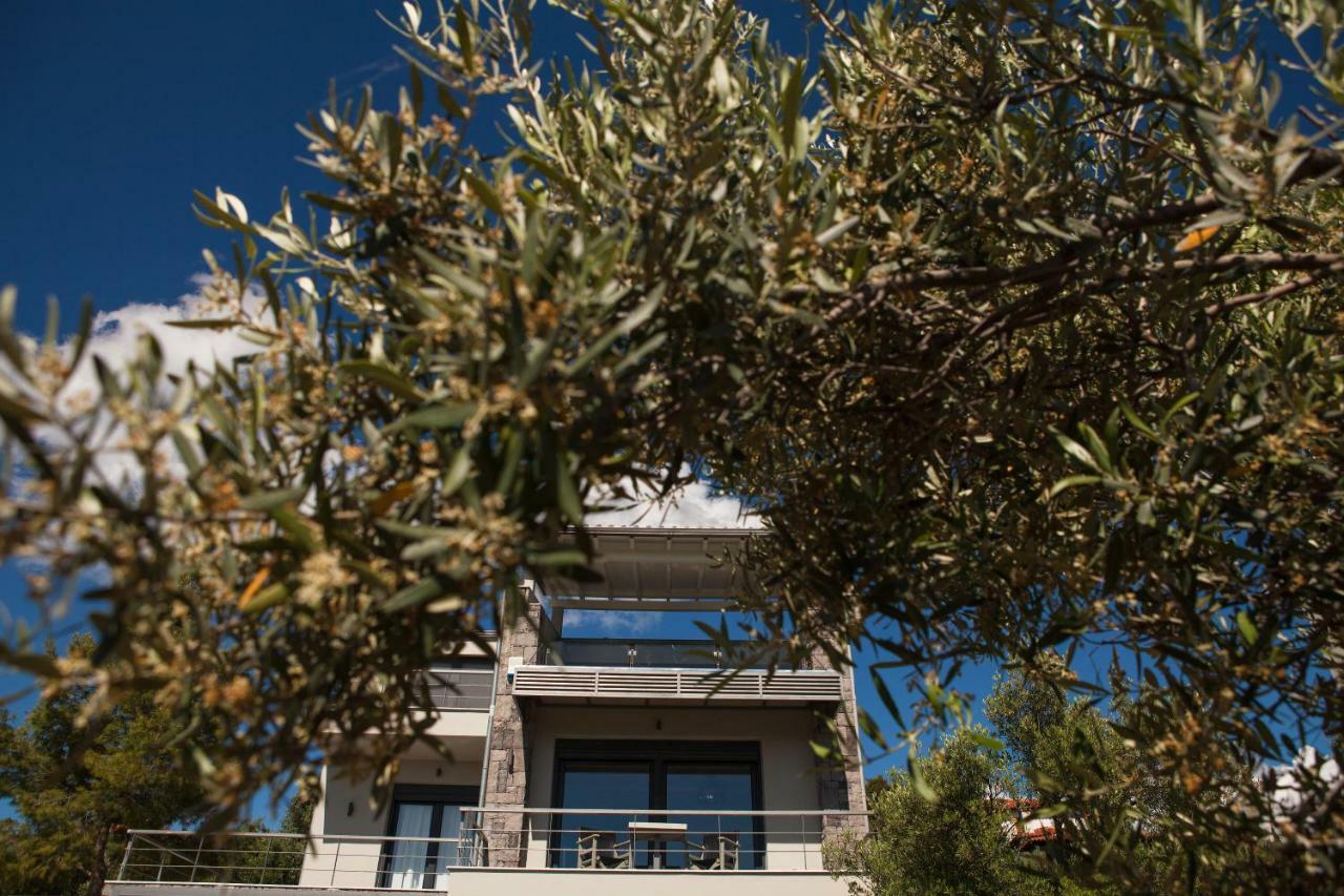 Olivia Estate Villa With Private Swimming Pool Elia Nikitis Extérieur photo