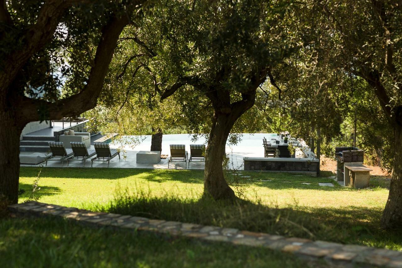 Olivia Estate Villa With Private Swimming Pool Elia Nikitis Extérieur photo