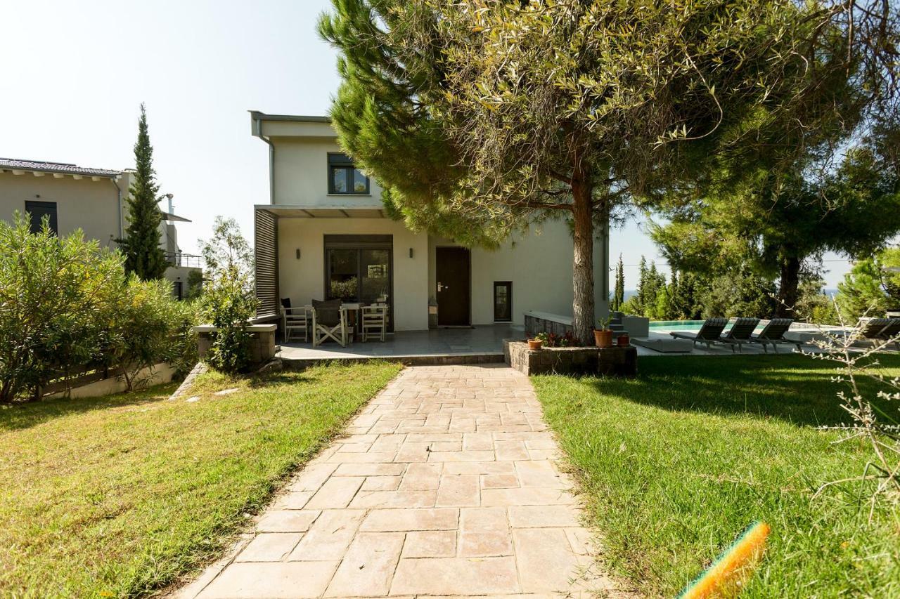 Olivia Estate Villa With Private Swimming Pool Elia Nikitis Extérieur photo